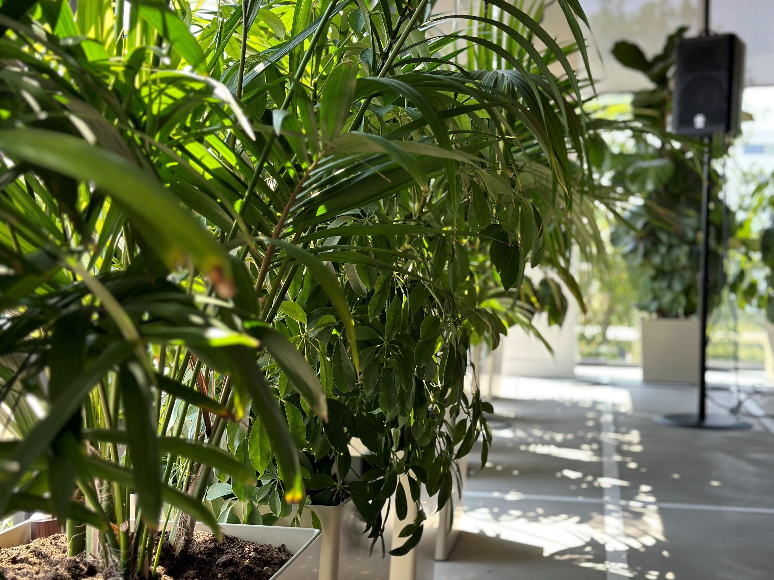 header BRIGHTlab scaled