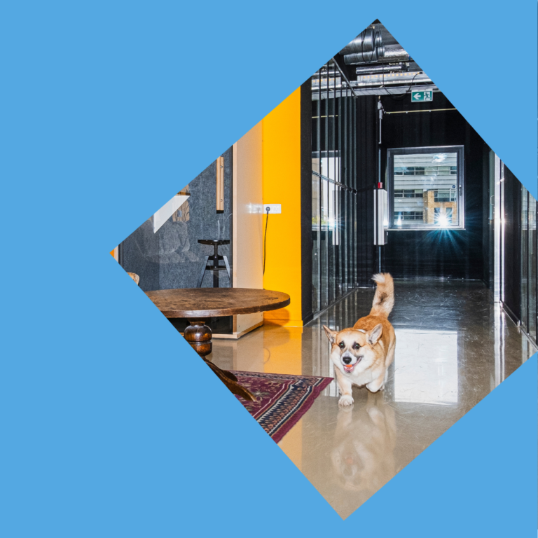 Ontwerp zonder titel 37